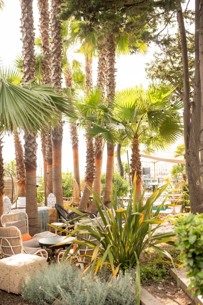 Palmtrees in Villa Djunah Gardens